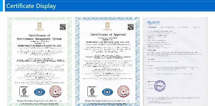 certificate display.jpg