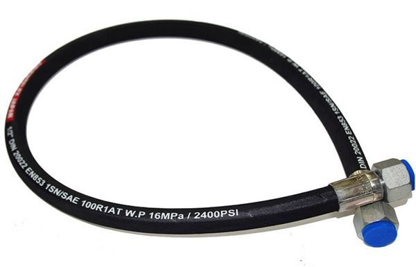 SAE R1 (25).jpg SAE R1 (25).jpg